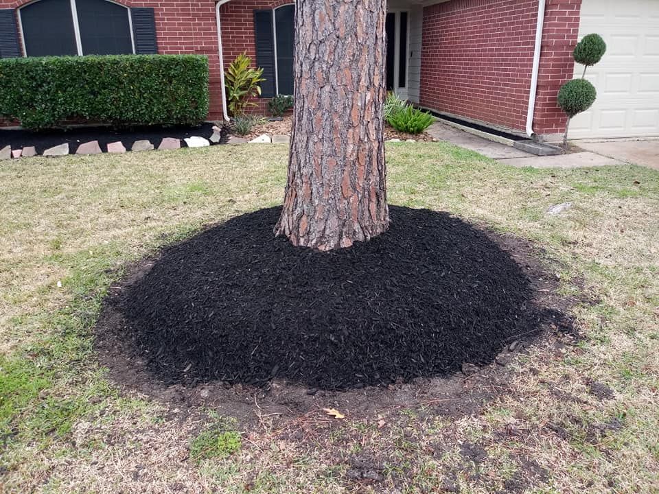 All Photos for Diaz Landscaping in Lincoln, CA