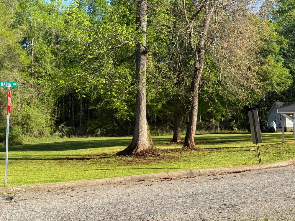 All Photos for GA Lawn Care Pros in Jefferson, GA