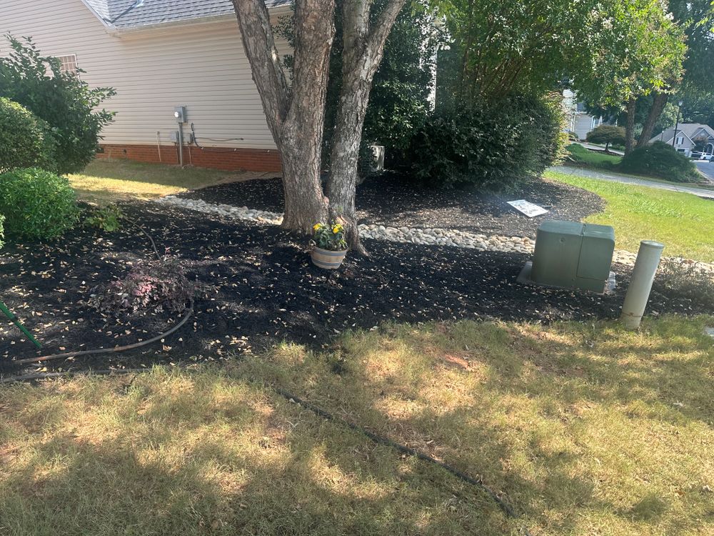 All Photos for Rescue Grading & Landscaping in Marietta, SC