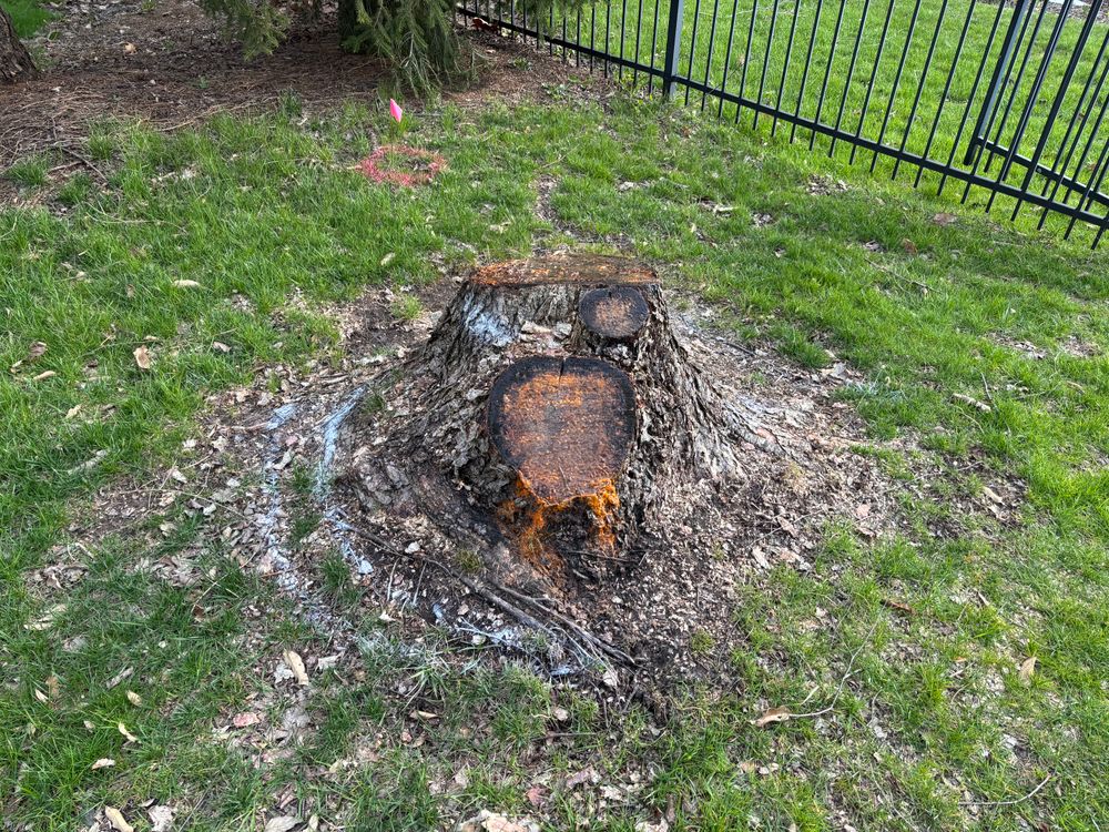 All Photos for Conrad's Stump Removal in Columbus, IN