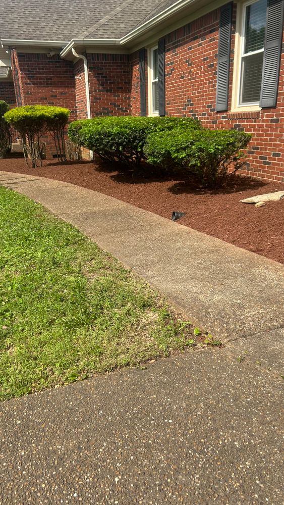 All Photos for Optimum Tree Service And Landscaping in Bowling Green, KY