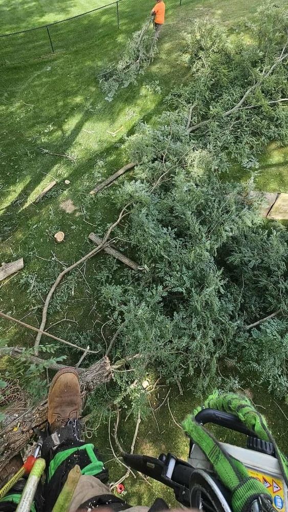 All Photos for Highborn Tree Service in Wheatfield, IN