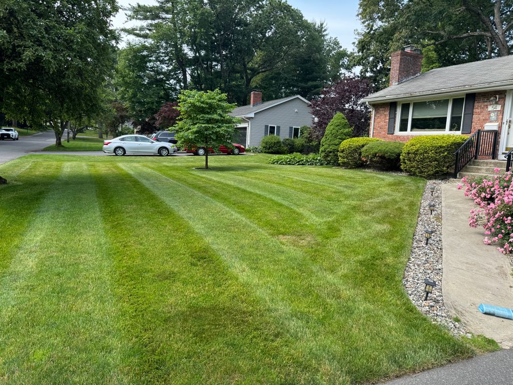 All Photos for Adams Landscaping in Springfield, MA