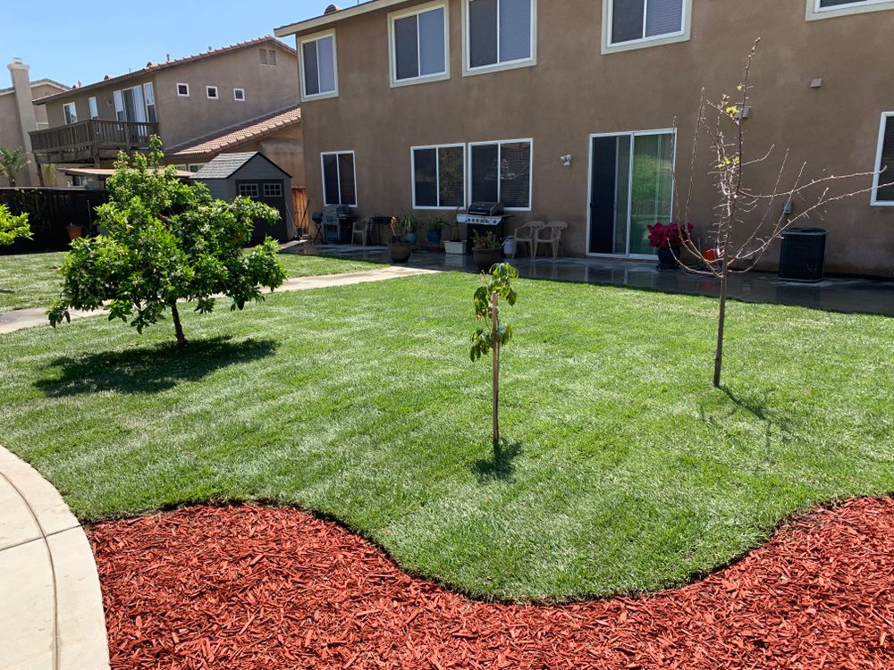 Sod Installations for Aidan Jade Landscaping in Riverside County, CA