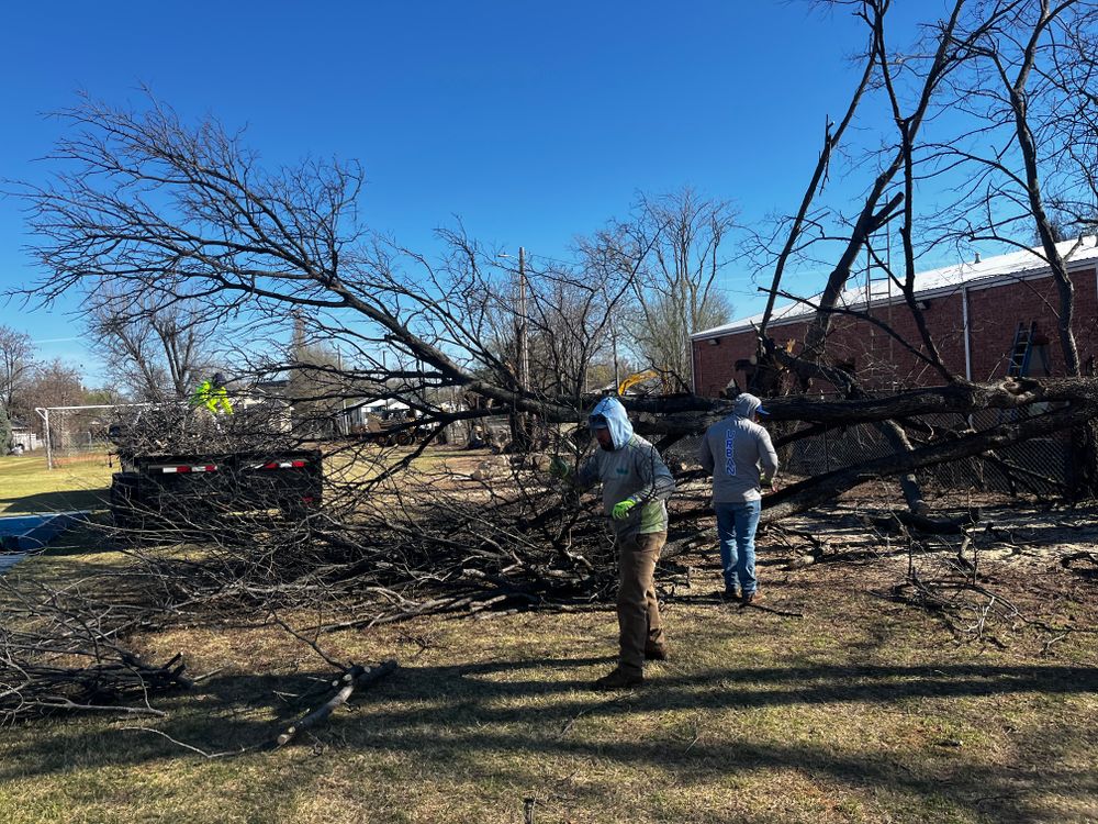 All Photos for Urban Lawn & Landscape in Oklahoma City, OK