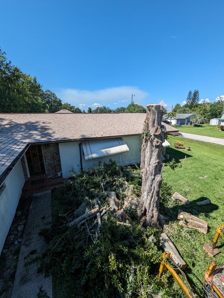 All Photos for Regal Tree Service and Stump Grinding in Wauchula, FL