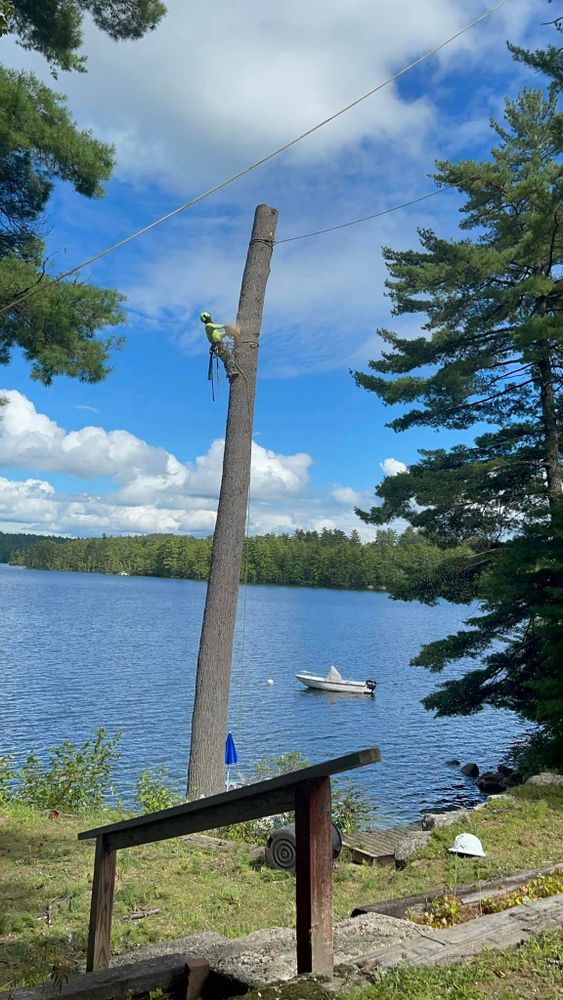 Tree Removal for Green In Green Out Tree Services in Westbrook, ME