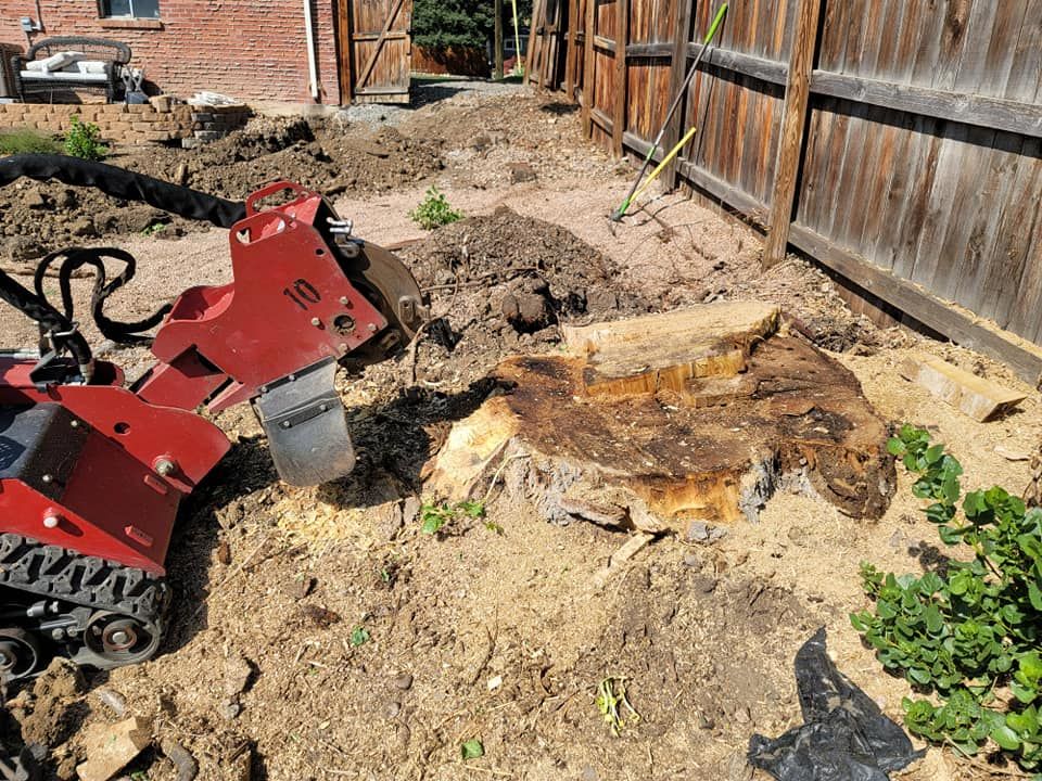 Our professional stump removal service efficiently eliminates unsightly stumps, enhancing your landscape’s beauty and safety while preventing future tree growth and pest infestations. Transform your yard with our expert care today. for Sloan Tree Service in Aurora, CO