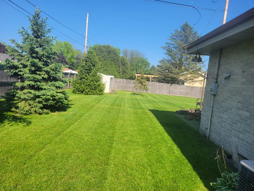 Lawn Care for Malagon & Company LLC in Milwaukee, WI