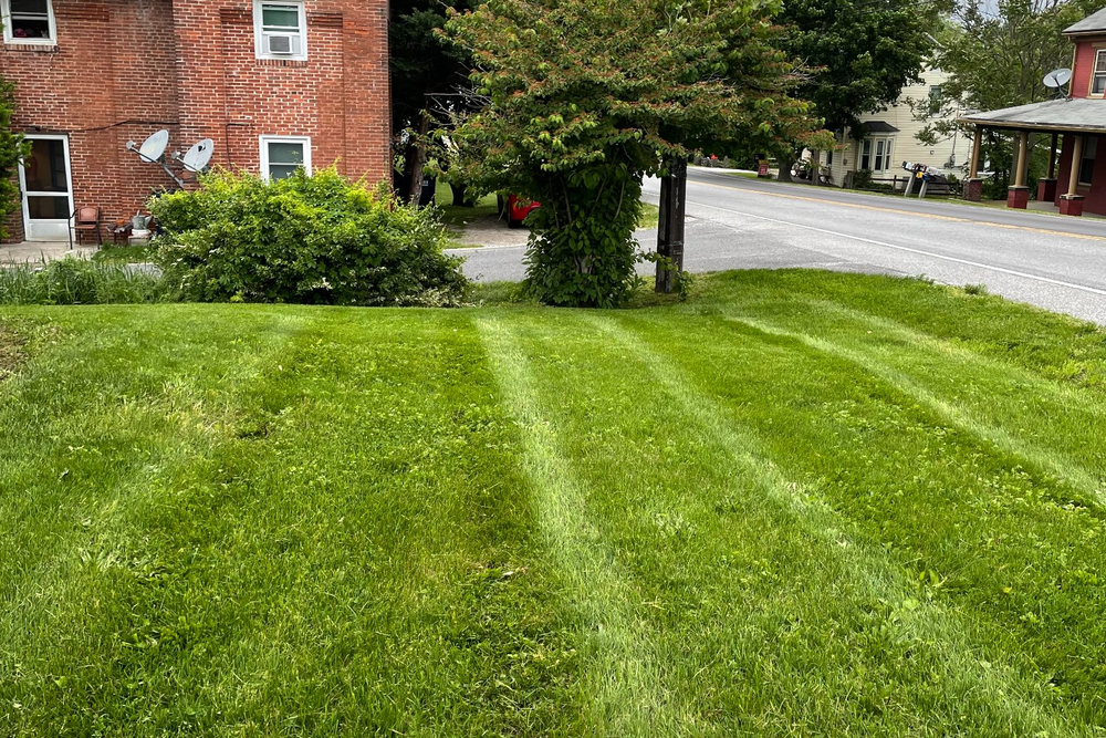 Lawn Care for Dunn-Rite Landscaping in New Oxford, PA