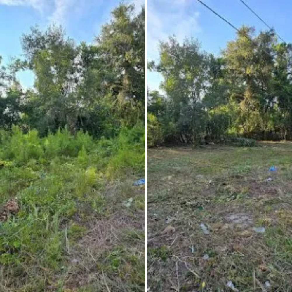 All Photos for Giles Land Management, LLC in Hahira, GA