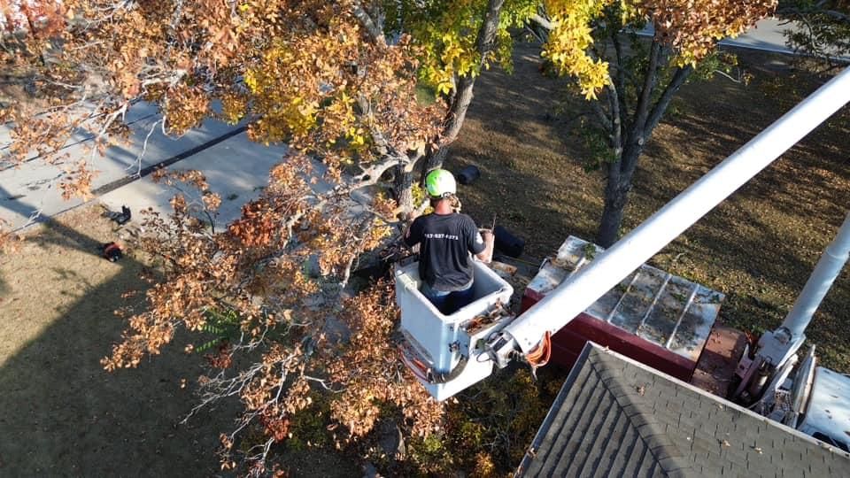 All Photos for H n H Tree Service in Taneyville, MO