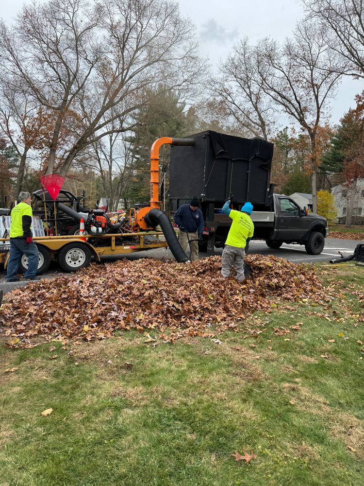 All Photos for Adams Landscaping in Springfield, MA