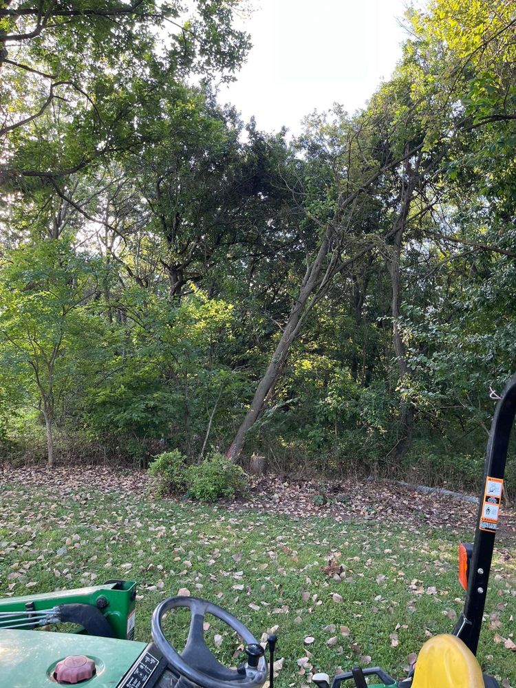 All Photos for Baker Professional Services LLC in Shelbina, MO