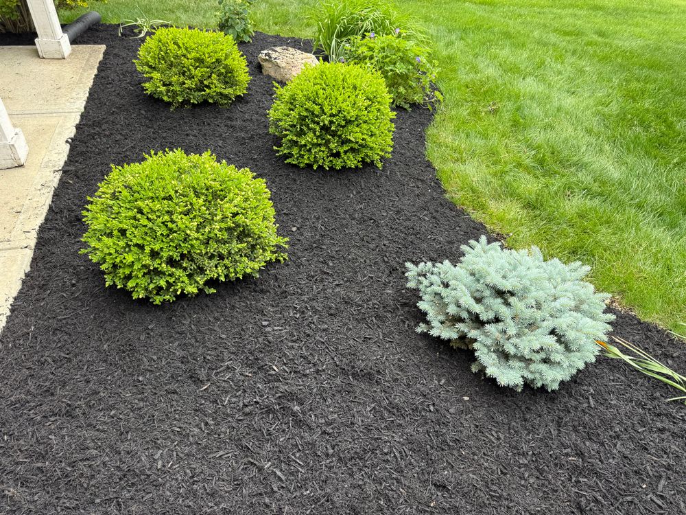 Mix for Bearforce Lawn Care LLC in Greenfield, IN