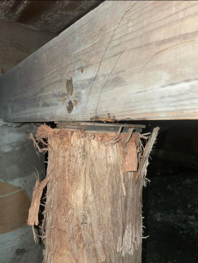 All Photos for South Texas Foundation Repair in San Antonio, Texas