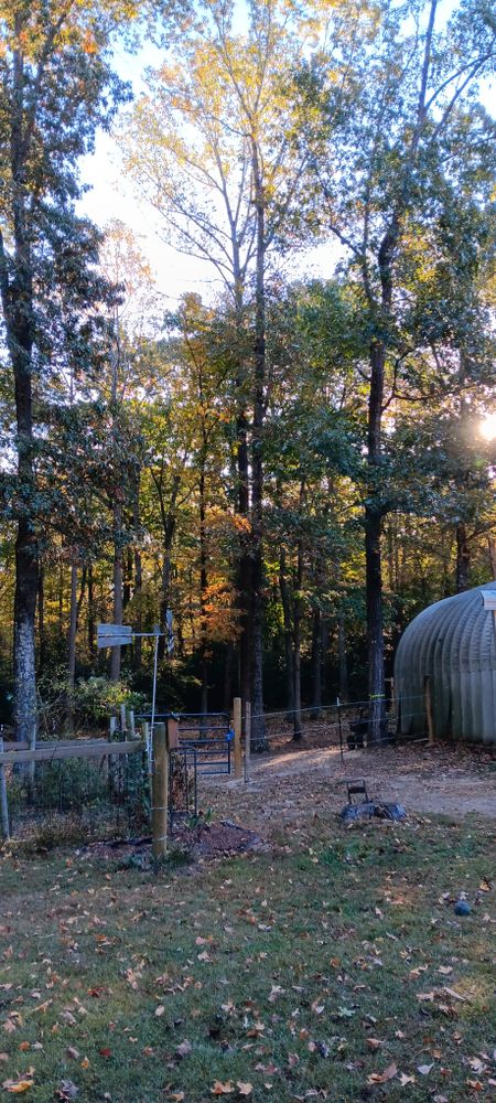 All Photos for Mario's Tree Service in Richmond, VA