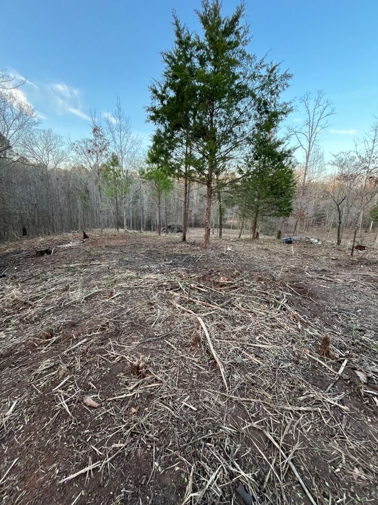 All Photos for JC Land and Tree Service in Kilgore, TX