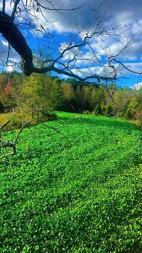 All Photos for Bluff Country Whitetails in Southern Indiana, IN
