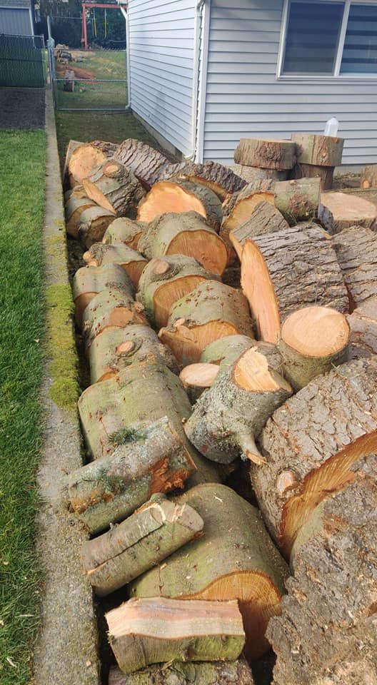 Tree Removal for A&J WA Tree Services in Kent, WA