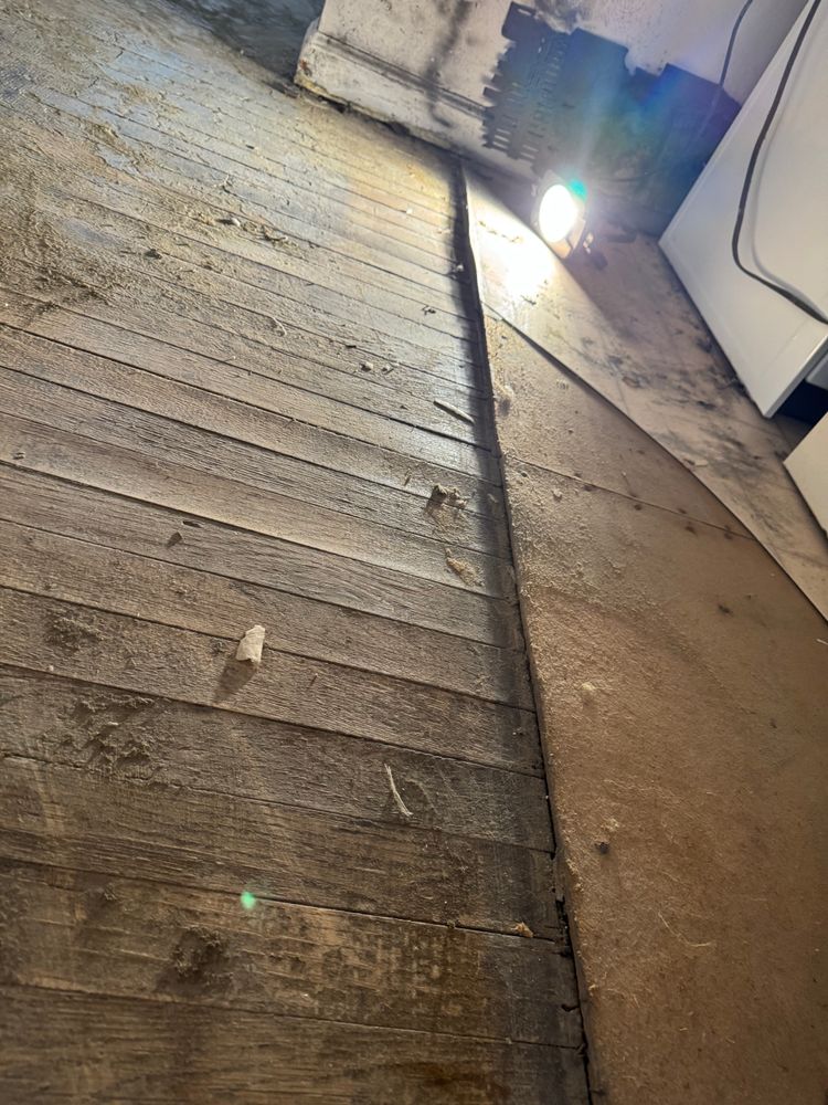 All Photos for Jz Painting Design Co. in Manassas, VA