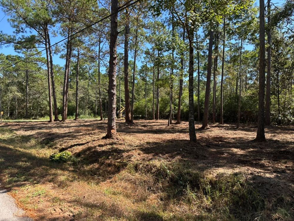 All Photos for White’s Land Maintenance in Milton,, FL