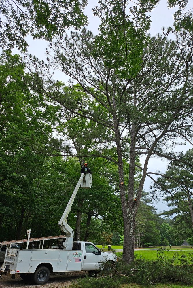 Brush Cutting and Removal for Fayette Property Solutions in Fayetteville, GA