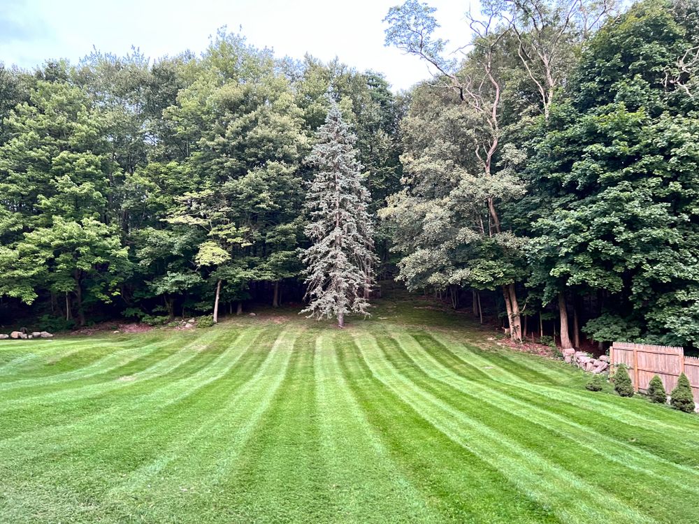 Lawn Care for LJ Lawn & Property Maintenance, Inc. in Cold Spring, New York