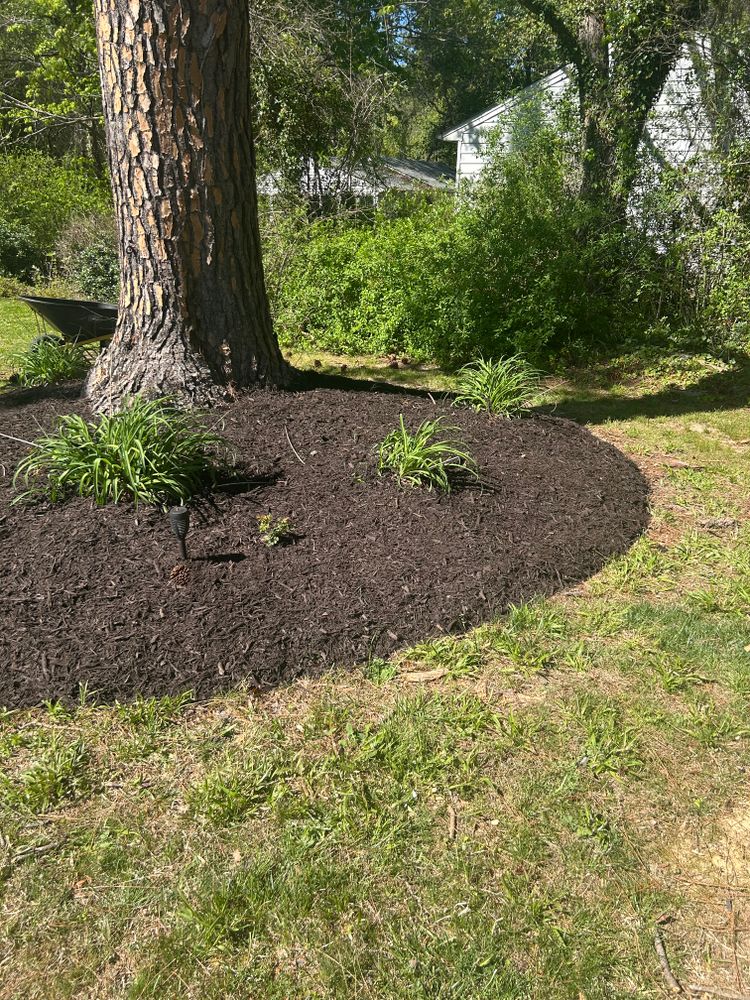 All Photos for Grass N Things LLC in Sandston, VA