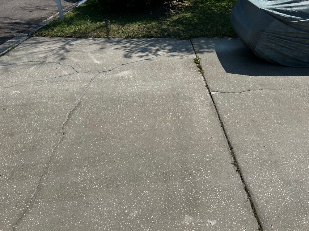 All Photos for Project Masters Group in Tampa, FL