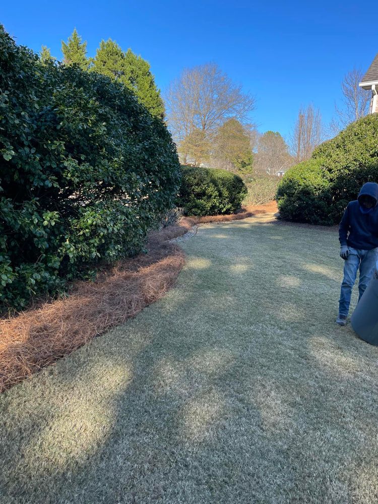 All Photos for JC Lawn Care and Landscaping in Athens, GA