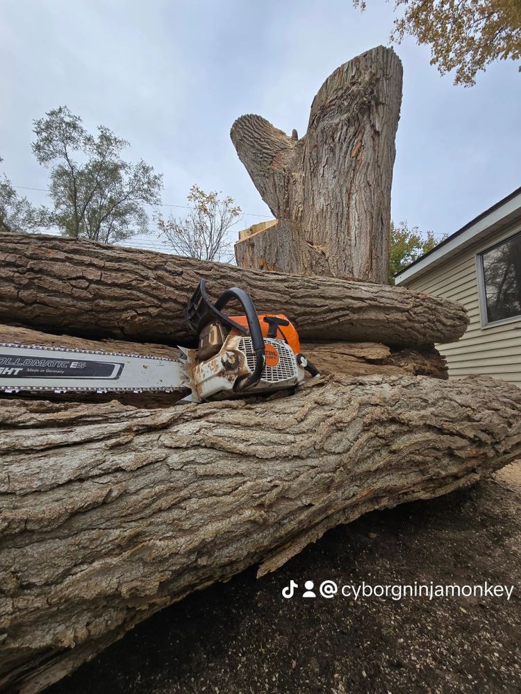 All Photos for D Hale Tree Service in Ann Arbor, MI