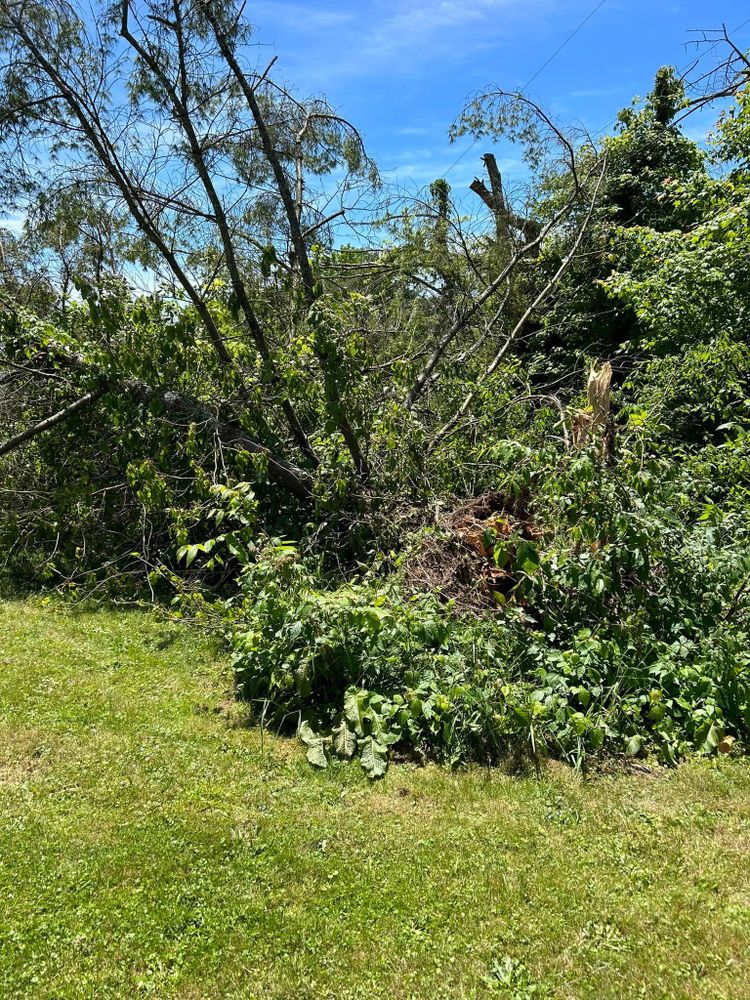 All Photos for NRV Tree Pro, LLC in Narrows, VA