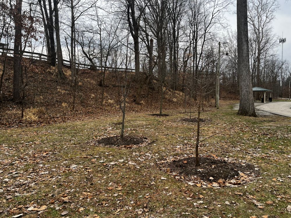 All Photos for Stafford.Works in Brownsburg, IN