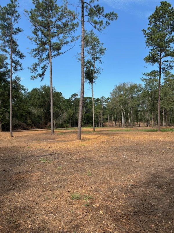 All Photos for JM Services in Woodville, TX