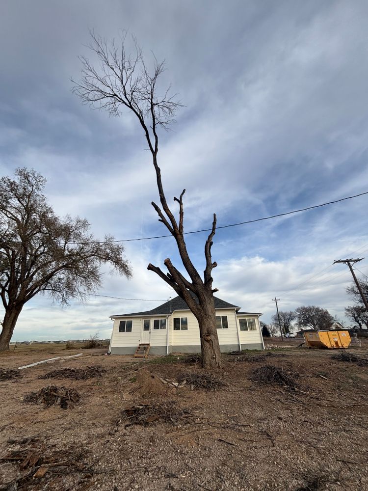 All Photos for Graham’s Tree Services in Pierce, CO