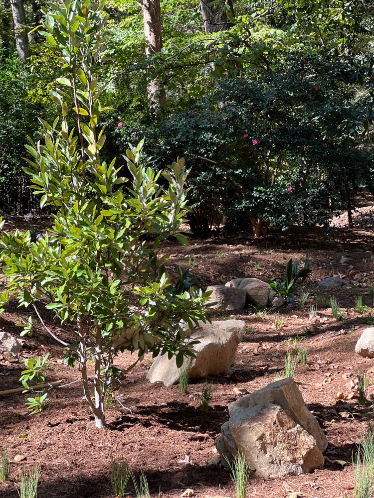 All Photos for Christina King Landscape Design in Raleigh, NC