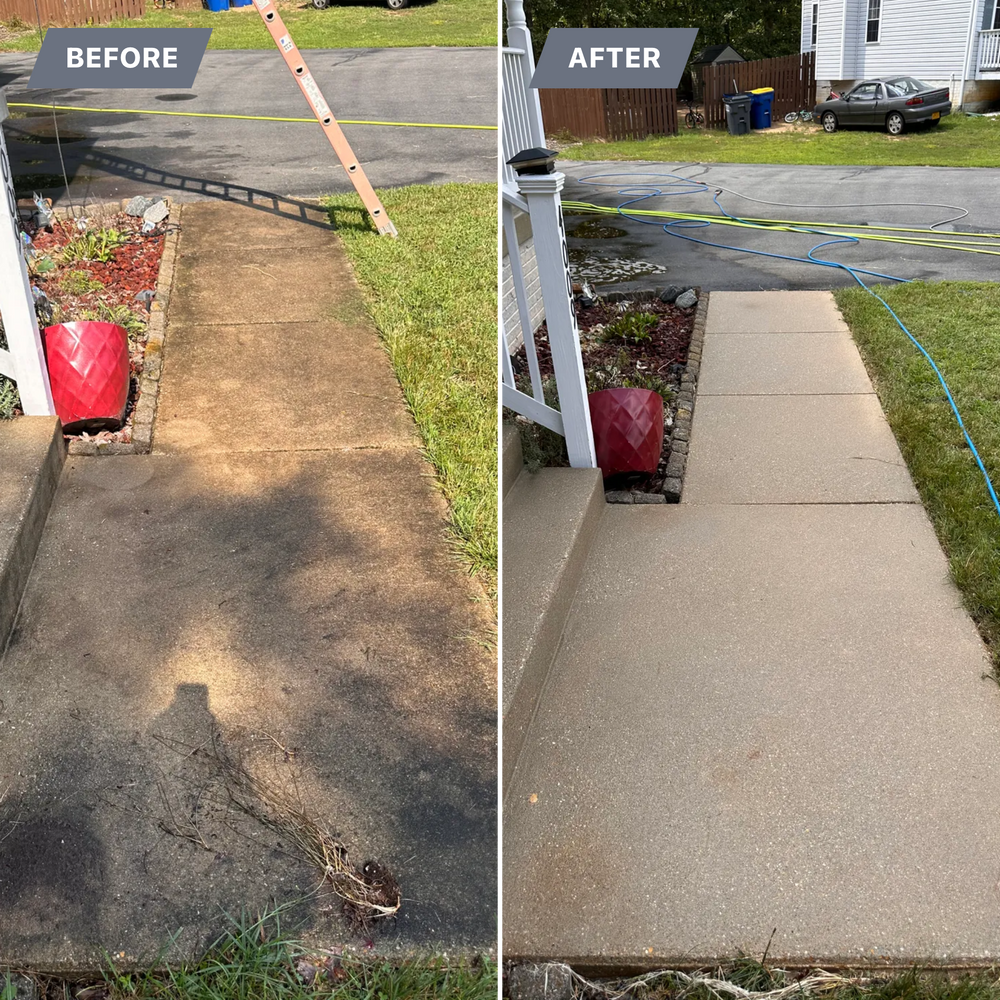 All Photos for LeafTide Solutions in Richmond, VA