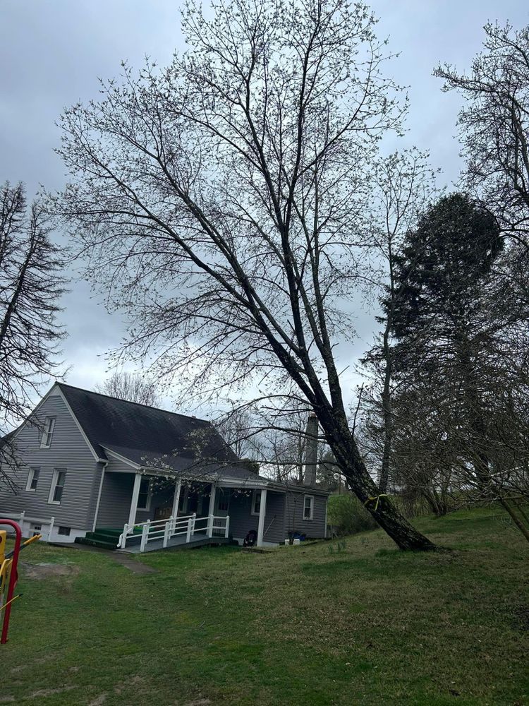 All Photos for NRV Tree Pro, LLC in Narrows, VA