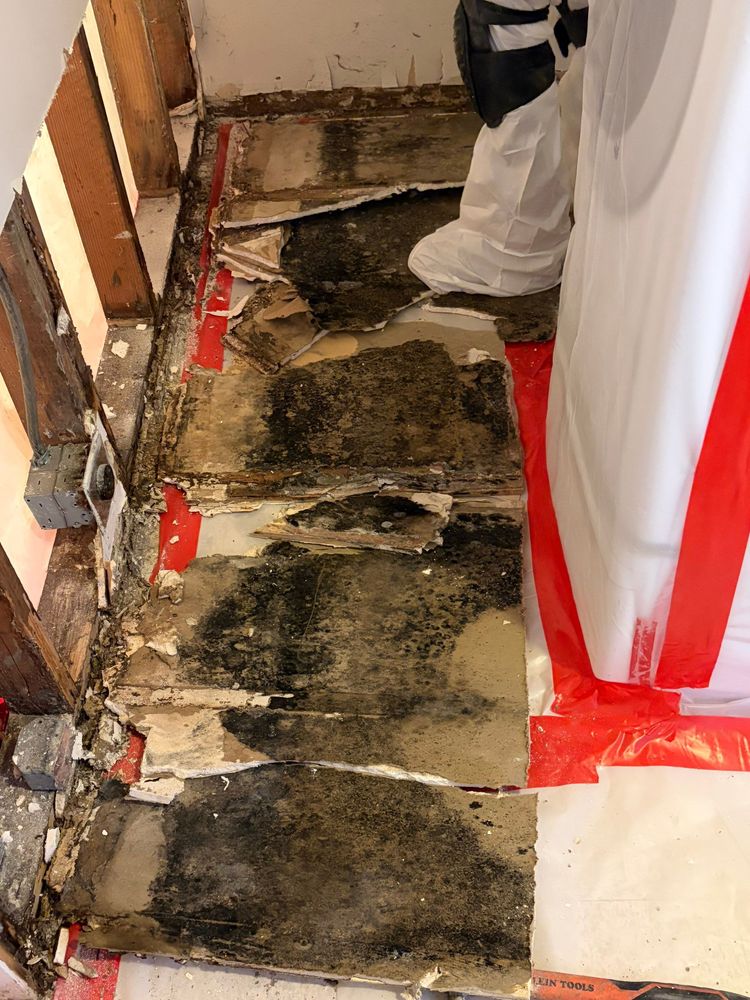 Asbestos Abatement for ACM Environmental in Salt Lake City, UT
