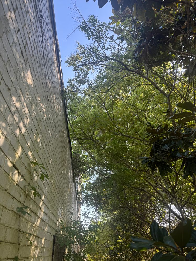 All Photos for Johnson Gutter Cleaning and Construction  in Southern Pines, NC