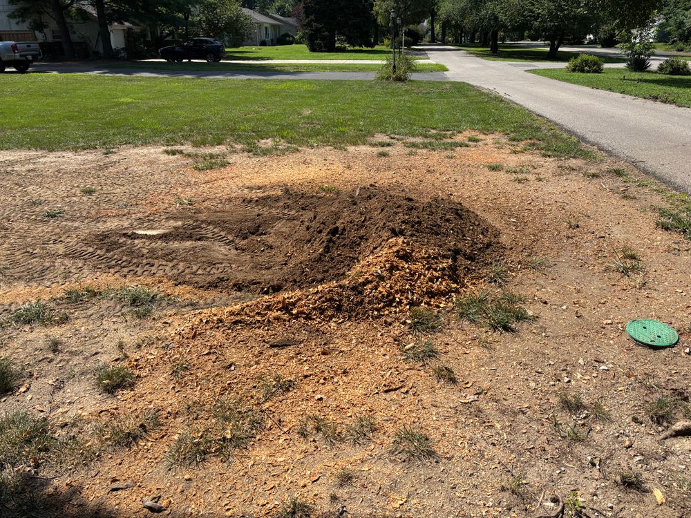 All Photos for Conrad's Stump Removal in Columbus, IN