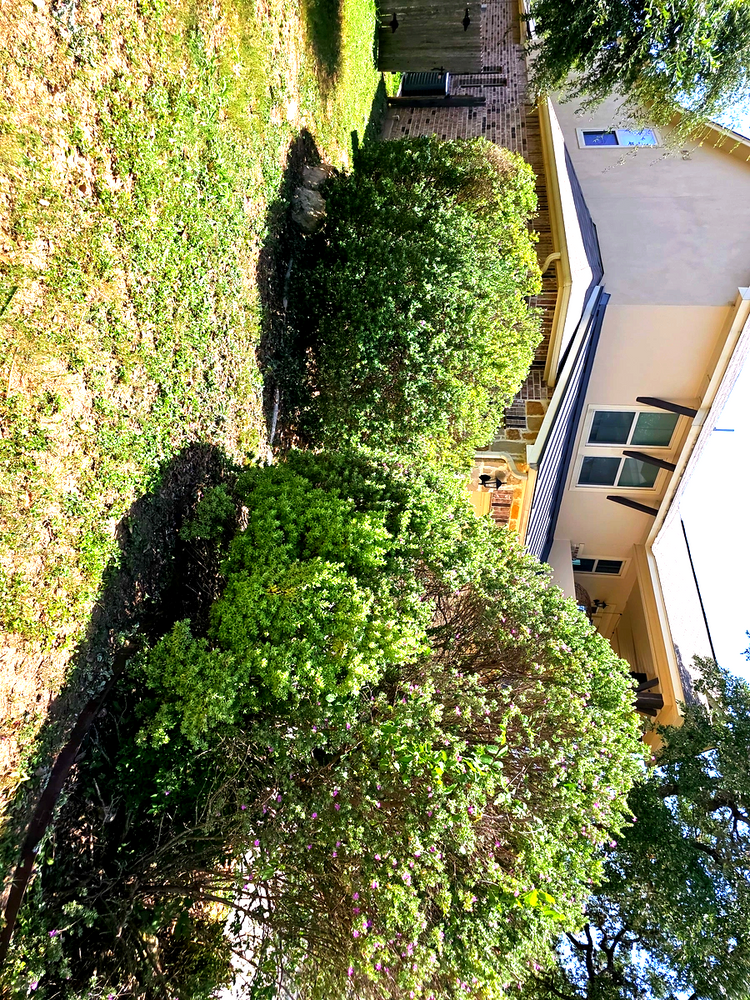 All Photos for Miller Mowing and Maintenance in San Antonio, TX
