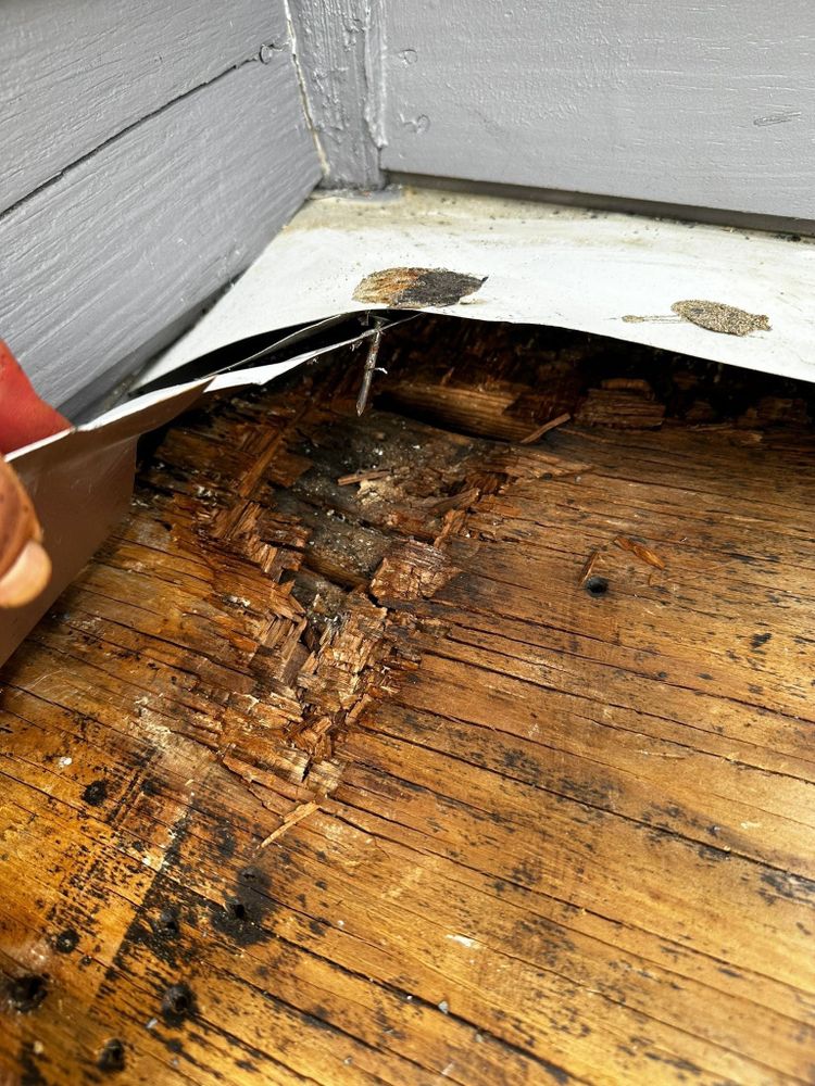 All Photos for KDR ProBuild & Roofing Solutions in London, KY