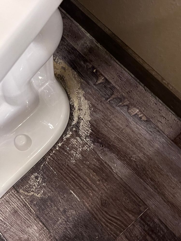 All Photos for R. Royal Floors in Royalton, MN