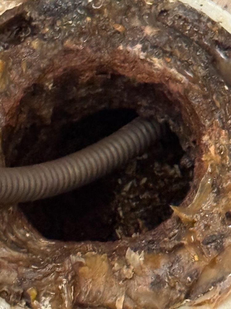 All Photos for Drain Scope Solutions in Agawam, MA