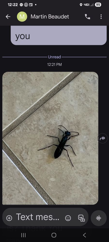 All Photos for Niko's Pest Control in Las Vegas, NV