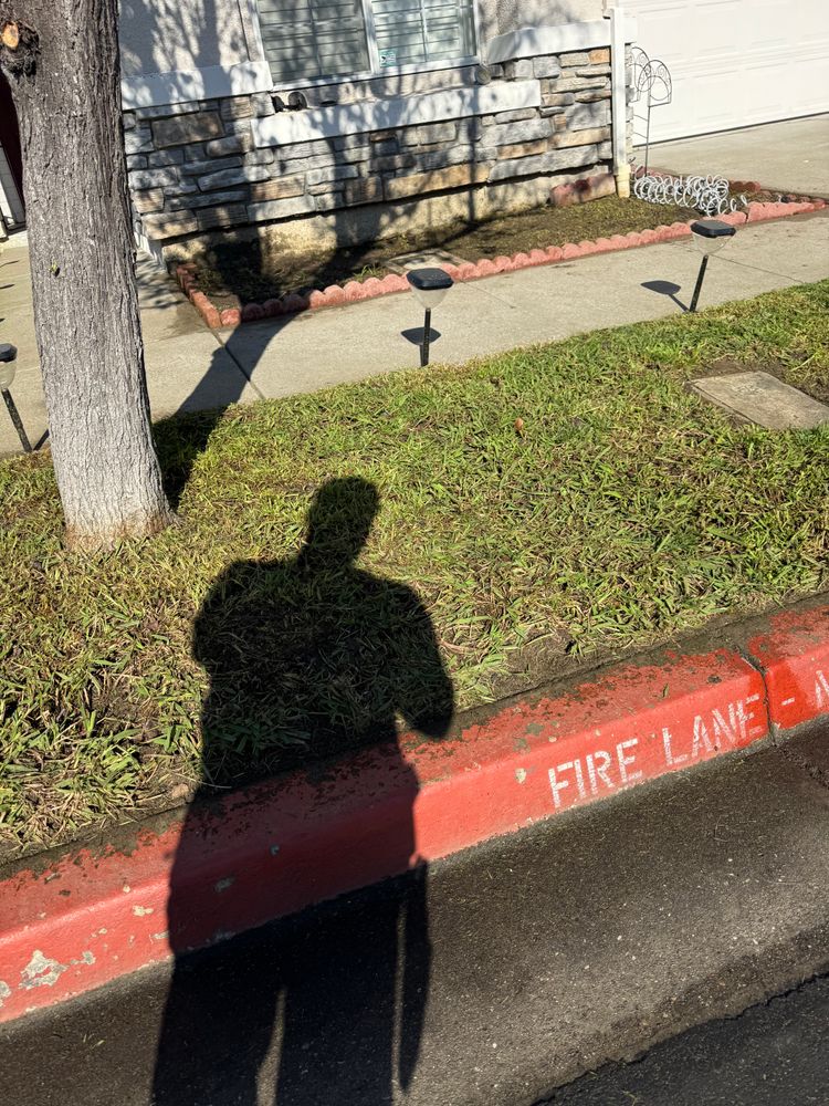 All Photos for CBA Landscaping in Hayward, CA