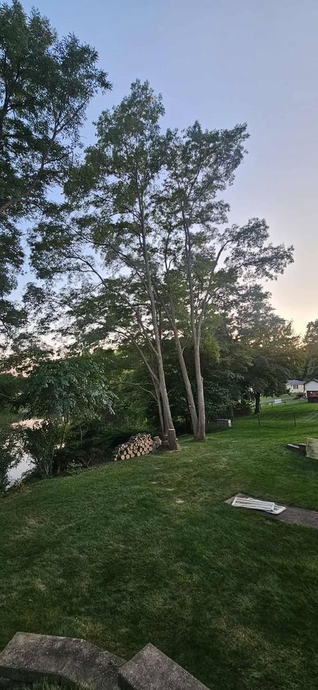 All Photos for Highborn Tree Service in Wheatfield, IN