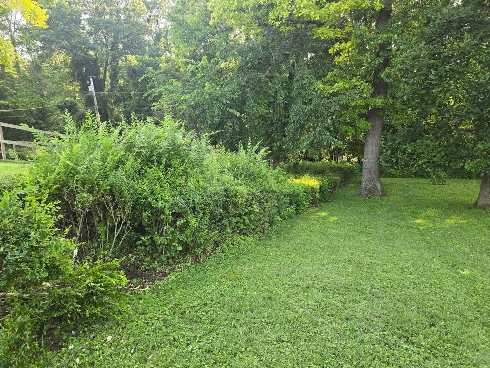 All Photos for Tingley's Green Land Services in Springfield, Ohio